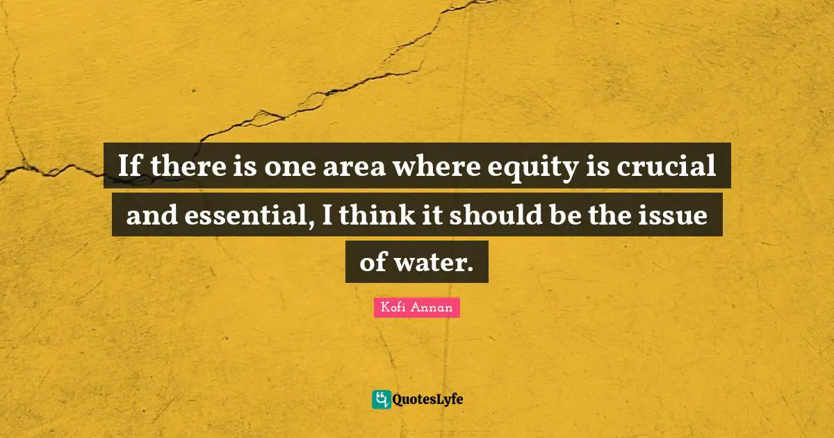 If there is one area where equity is crucial and essential, I think it should be the issue of water.