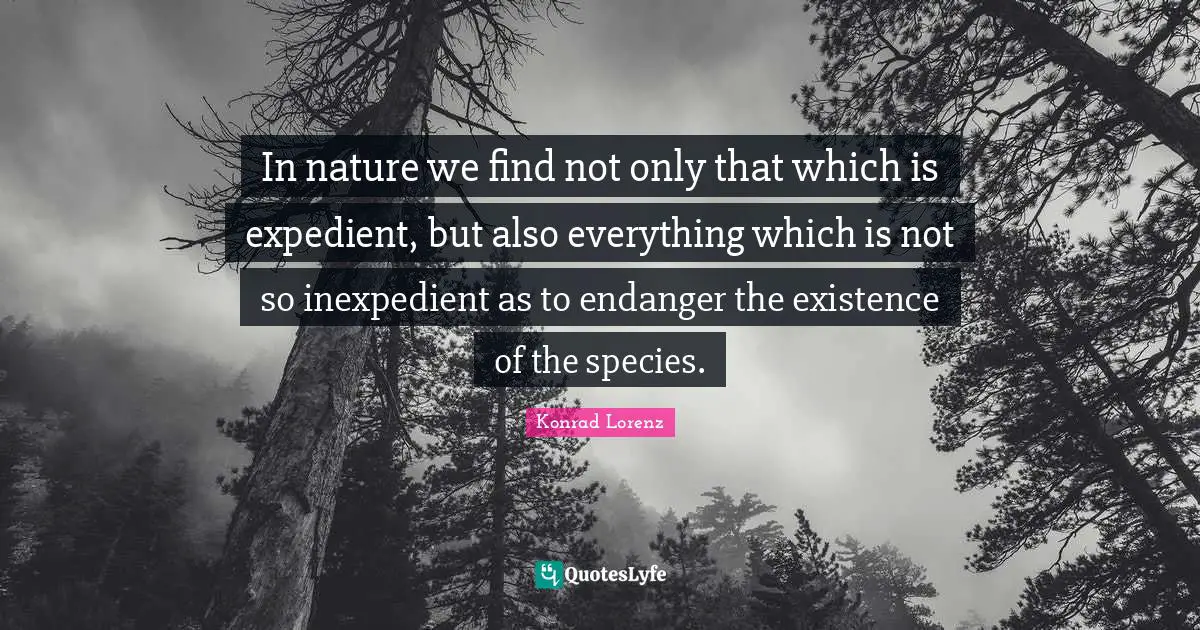 In nature we find not only that which is expedient, but also everything which is not so inexpedient as to endanger the existence of the species.