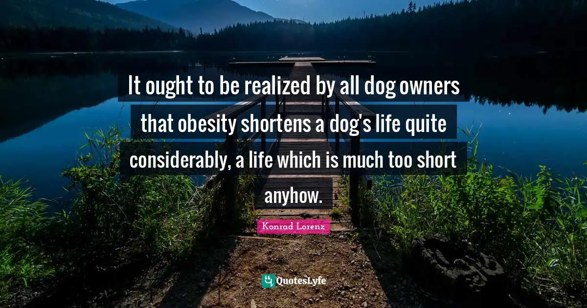 Owners Quotes: "It ought to be realized by all dog owners that obesity shortens a dog's life quite considerably, a life which is much too short anyhow."