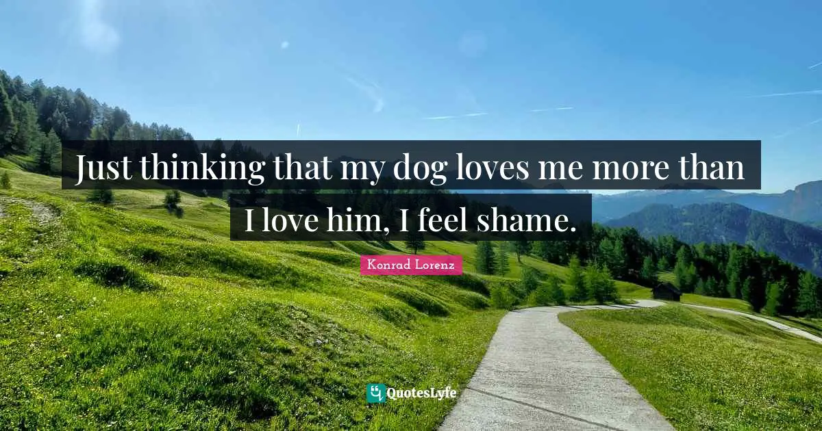 Just thinking that my dog loves me more than I love him, I feel shame.