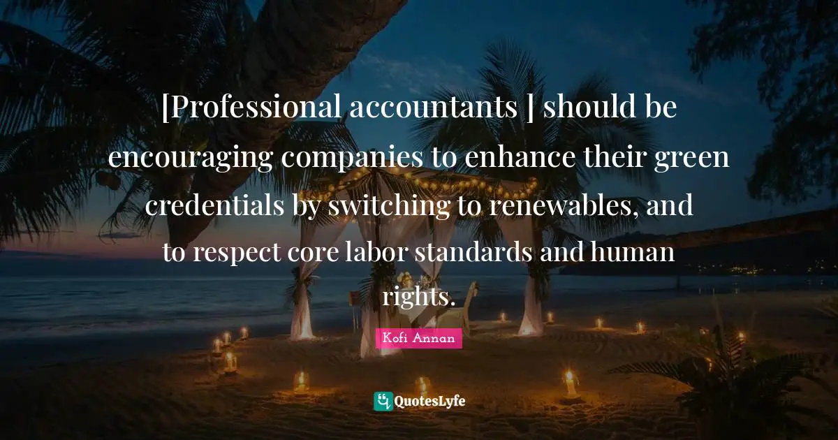[Professional accountants ] should be encouraging companies to enhance their green credentials by switching to renewables, and to respect core labor standards and human rights.