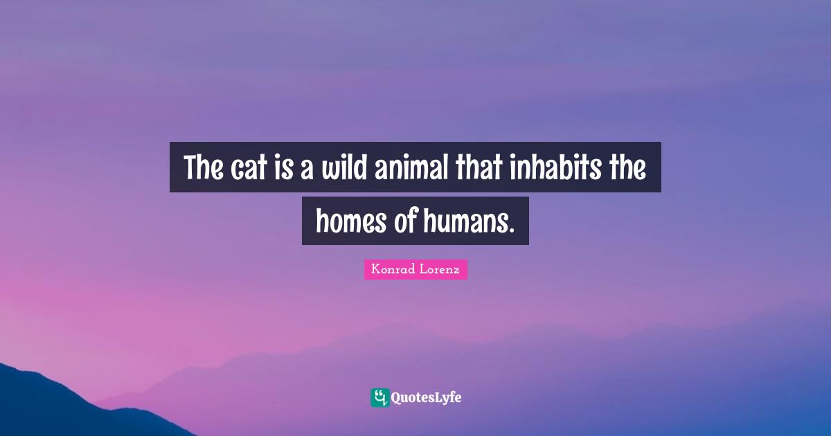 The cat is a wild animal that inhabits the homes of humans.