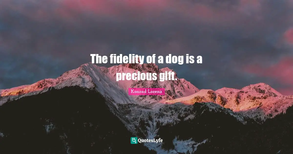 Pet Quotes: "The fidelity of a dog is a precious gift."