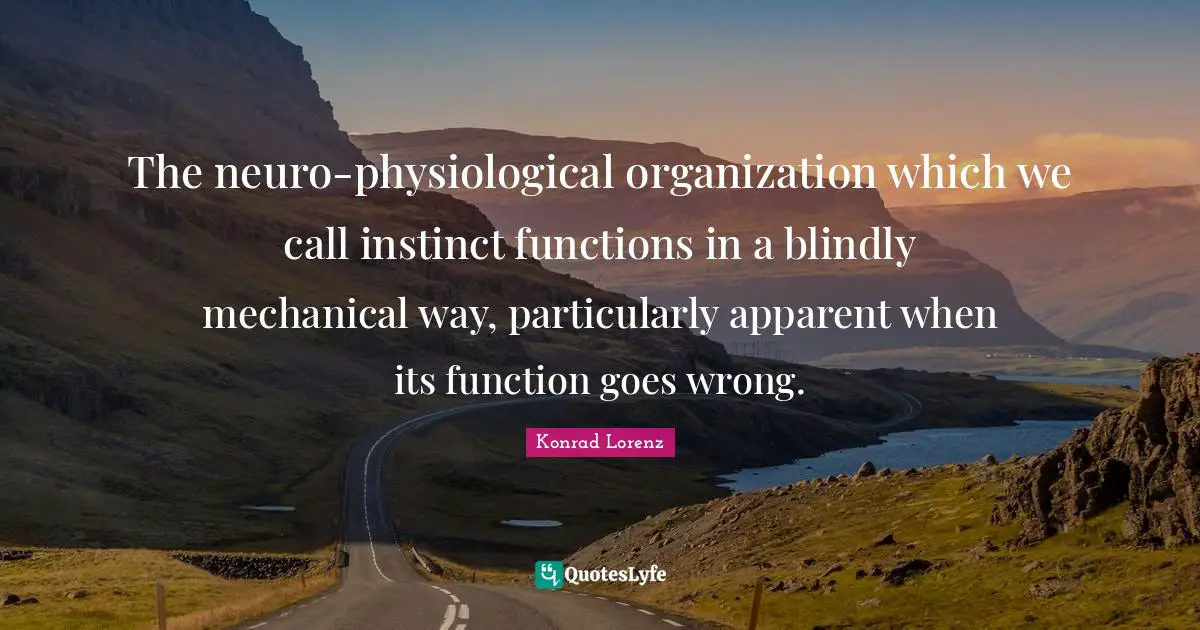 The neuro-physiological organization which we call instinct functions in a blindly mechanical way, particularly apparent when its function goes wrong.