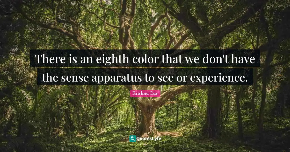 There is an eighth color that we don't have the sense apparatus to see or experience.
