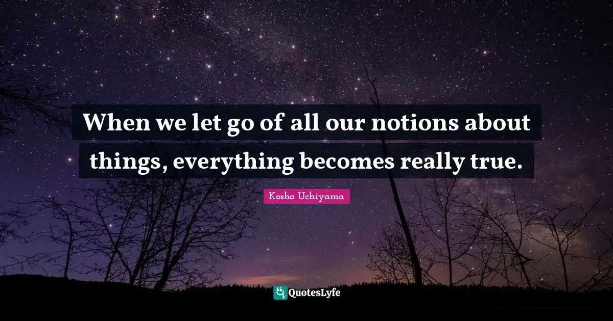 When we let go of all our notions about things, everything becomes really true.