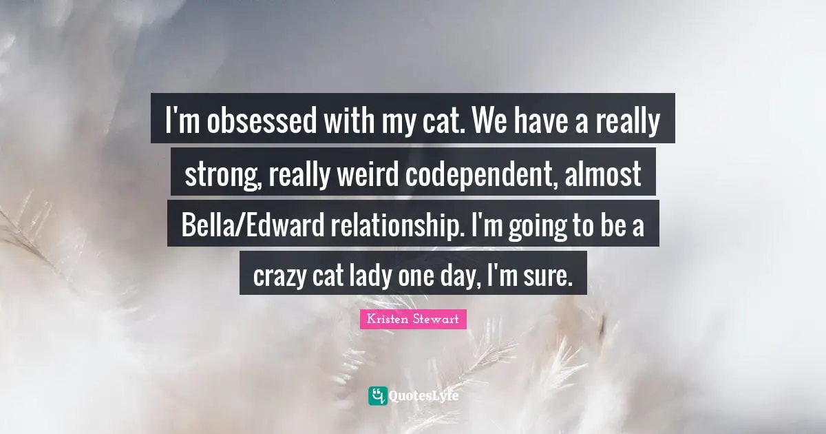 I'm obsessed with my cat. We have a really strong, really weird codependent, almost Bella/Edward relationship. I'm going to be a crazy cat lady one day, I'm sure.