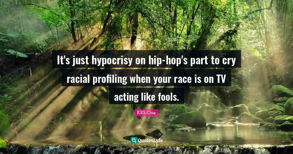 It's just hypocrisy on hip-hop's part to cry racial profiling when your race is on TV acting like fools.