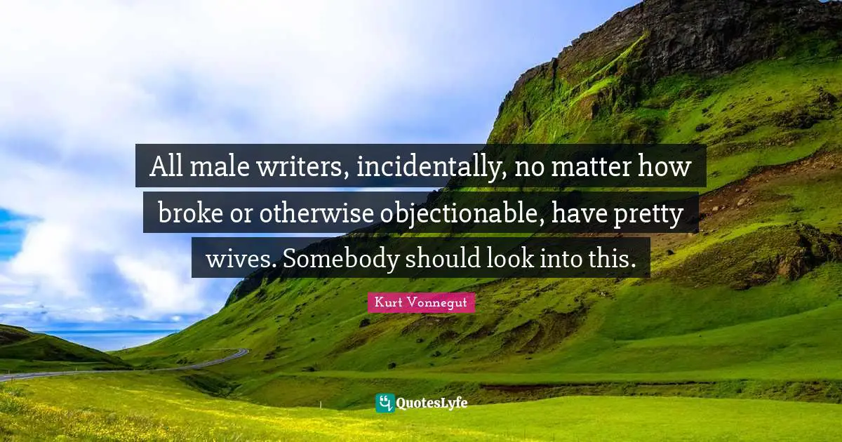 All male writers, incidentally, no matter how broke or otherwise objectionable, have pretty wives. Somebody should look into this.