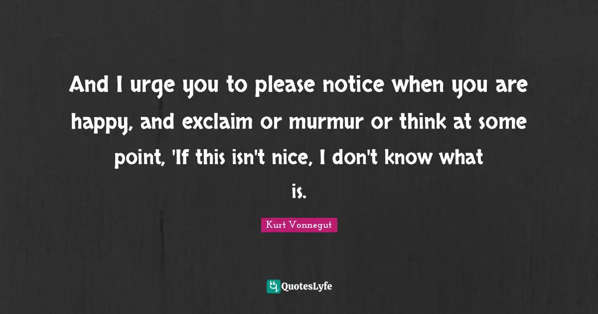 And I urge you to please notice when you are happy, and exclaim or murmur or think at some point, 'If this isn't nice, I don't know what is.