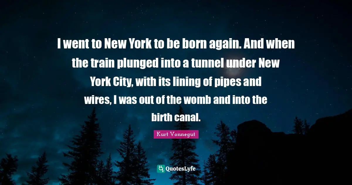 I went to New York to be born again. And when the train plunged into a tunnel under New York City, with its lining of pipes and wires, I was out of the womb and into the birth canal.
