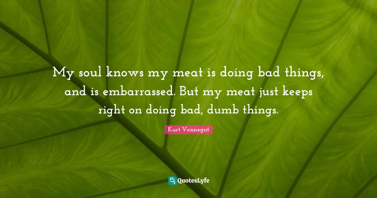 My soul knows my meat is doing bad things, and is embarrassed. But my meat just keeps right on doing bad, dumb things.