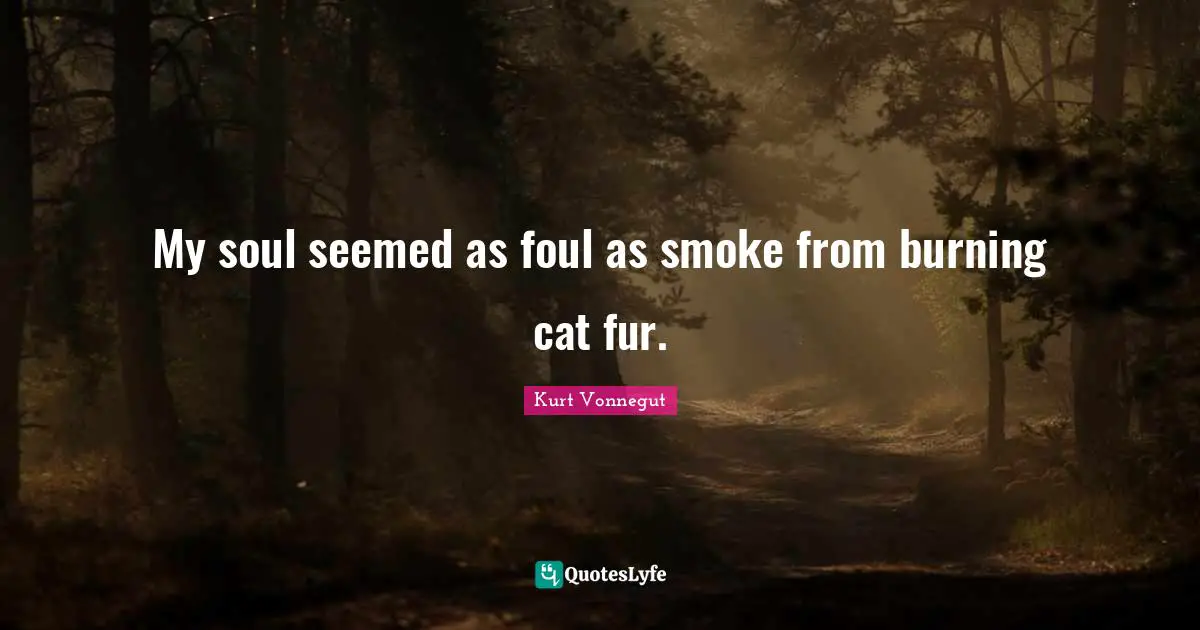 My soul seemed as foul as smoke from burning cat fur.