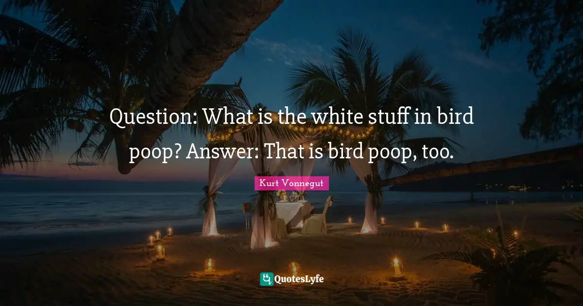 Question: What is the white stuff in bird poop? Answer: That is bird poop, too.