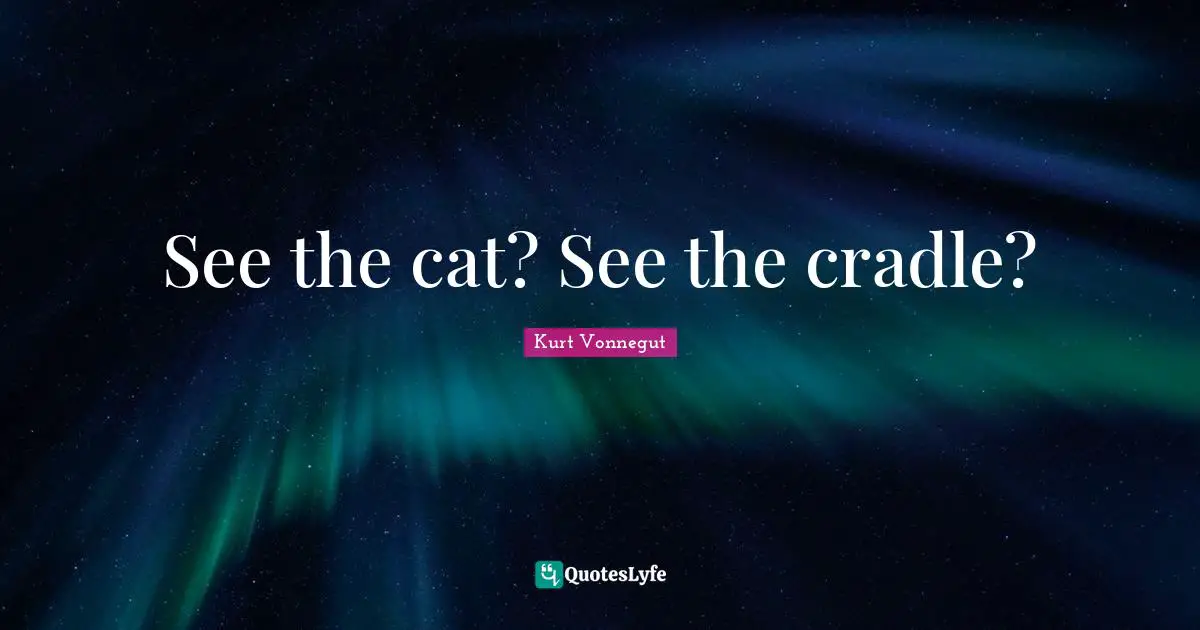 See the cat? See the cradle?