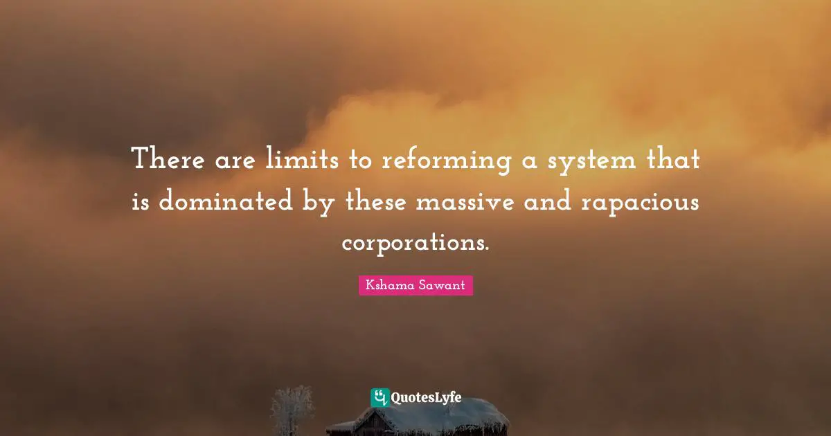 There are limits to reforming a system that is dominated by these massive and rapacious corporations.