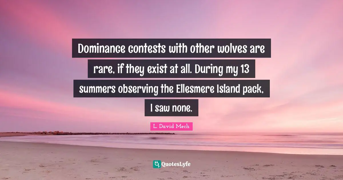 Dominance Quotes: "Dominance contests with other wolves are rare, if they exist at all. During my 13 summers observing the Ellesmere Island pack, I saw none."
