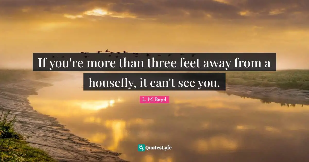 If you're more than three feet away from a housefly, it can't see you.