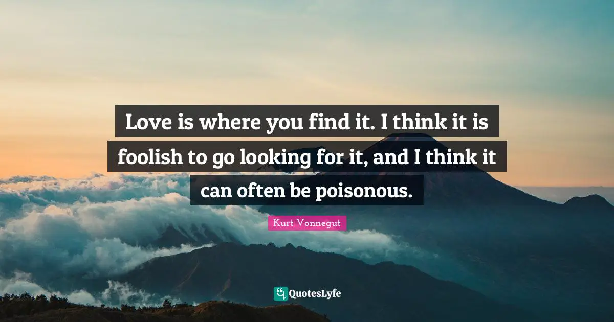 Love is where you find it. I think it is foolish to go looking for it, and I think it can often be poisonous.