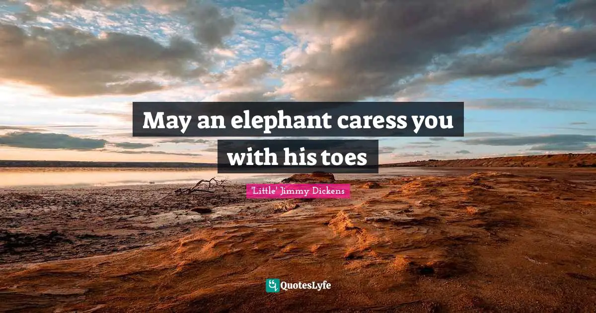 May an elephant caress you with his toes