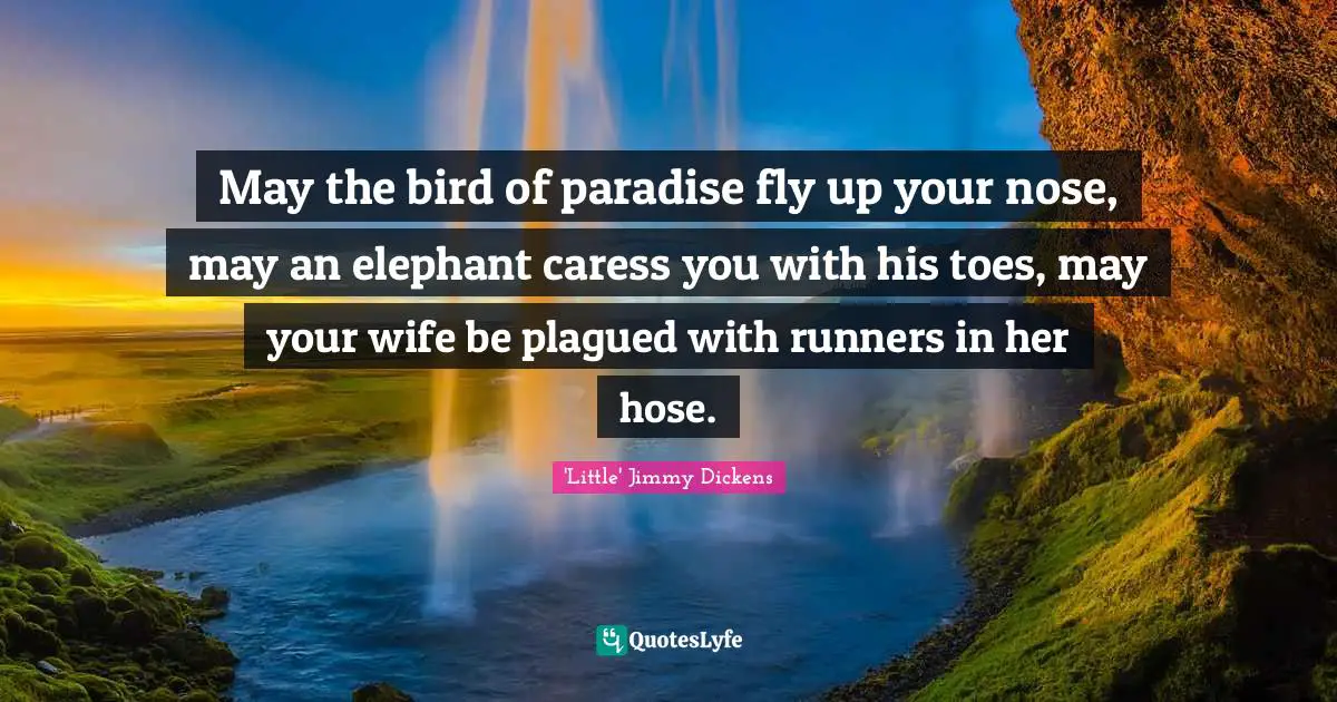 May the bird of paradise fly up your nose, may an elephant caress you with his toes, may your wife be plagued with runners in her hose.