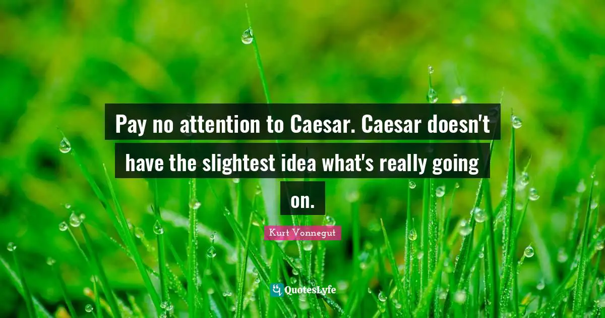 Pay no attention to Caesar. Caesar doesn't have the slightest idea what's really going on.