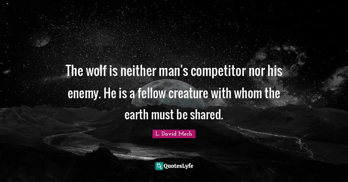The wolf is neither man's competitor nor his enemy. He is a fellow creature with whom the earth must be shared.