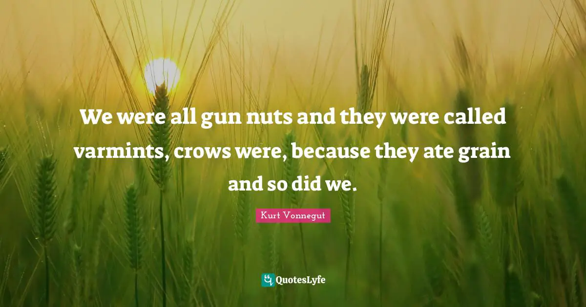 We were all gun nuts and they were called varmints, crows were, because they ate grain and so did we.