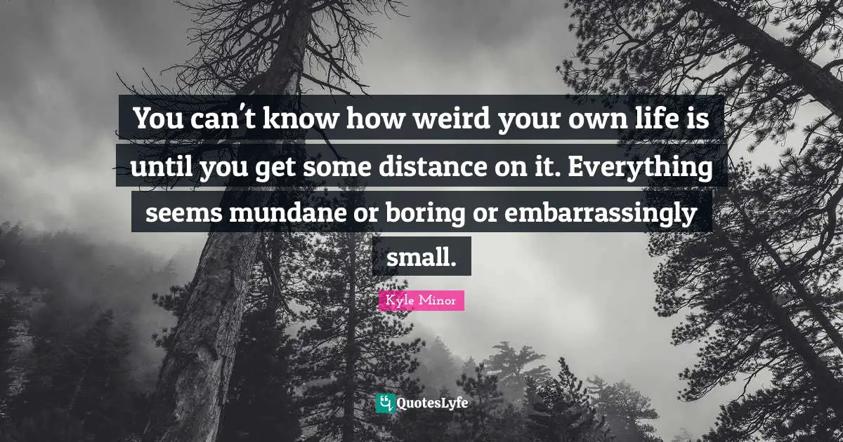 You can't know how weird your own life is until you get some distance on it. Everything seems mundane or boring or embarrassingly small.