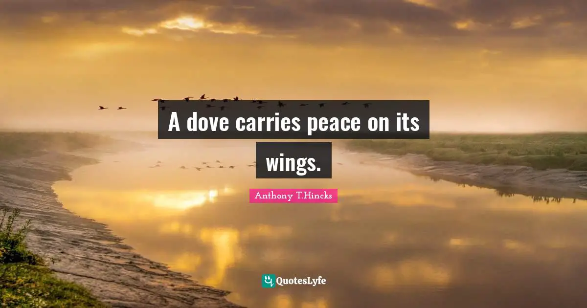 A dove carries peace on its wings.