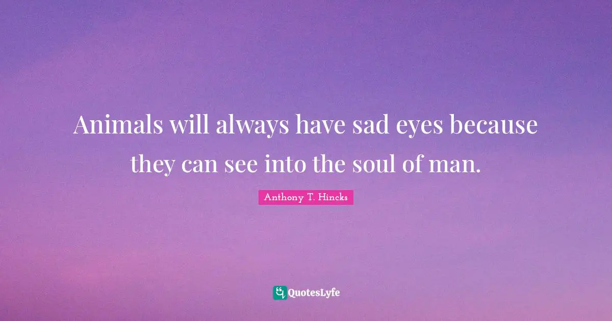 Animals will always have sad eyes because they can see into the soul of man.