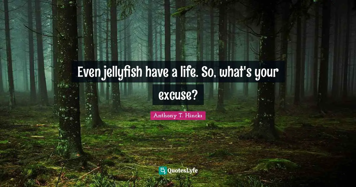 Even jellyfish have a life. So, what's your excuse?