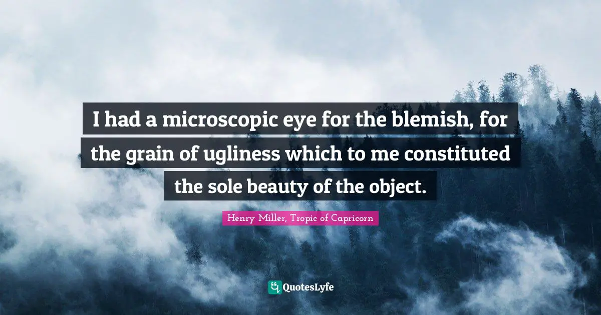 I had a microscopic eye for the blemish, for the grain of ugliness which to me constituted the sole beauty of the object.