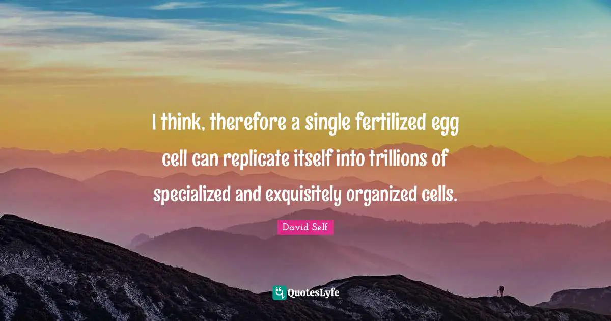I think, therefore a single fertilized egg cell can replicate itself into trillions of specialized and exquisitely organized cells.