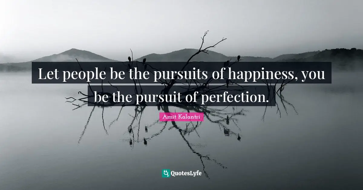 Let people be the pursuits of happiness, you be the pursuit of perfection.
