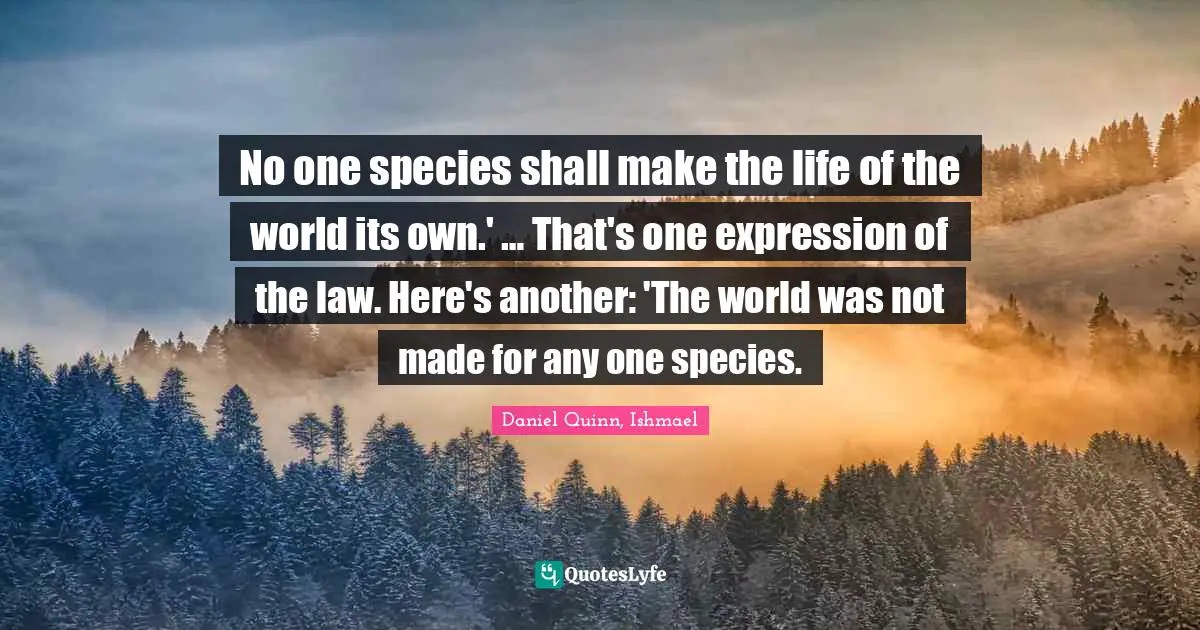 No one species shall make the life of the world its own.' … That's one expression of the law. Here's another: 'The world was not made for any one species.