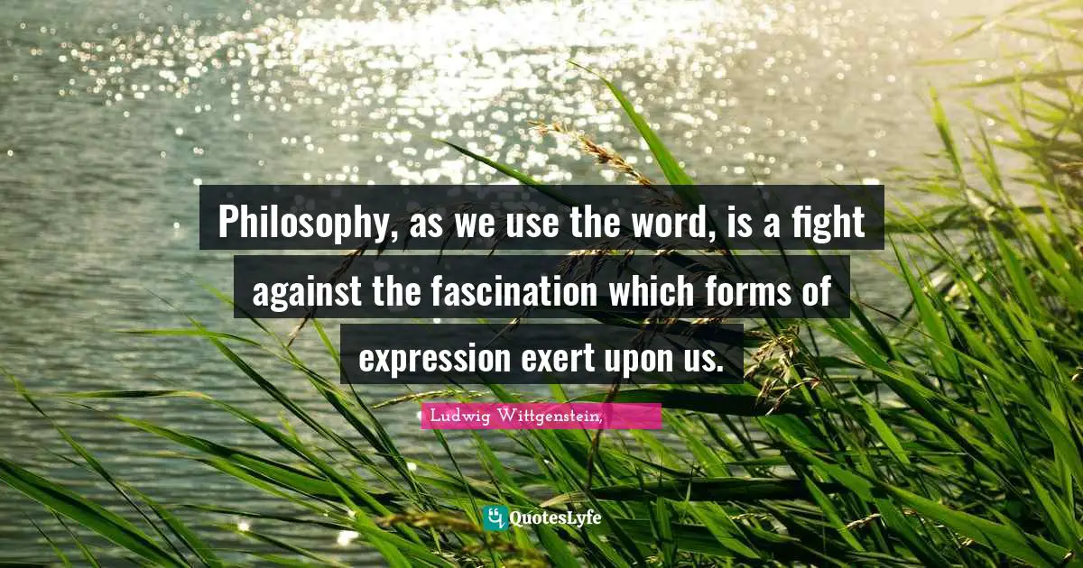 Philosophy, as we use the word, is a fight against the fascination which forms of expression exert upon us.