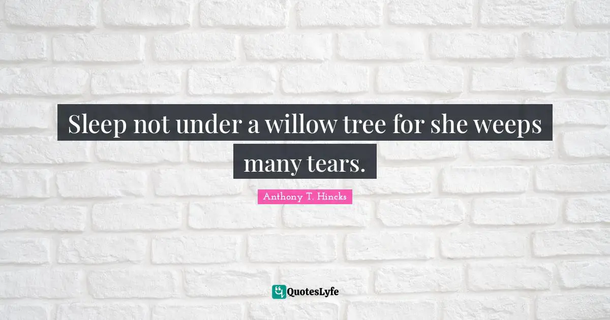 Sleep not under a willow tree for she weeps many tears.