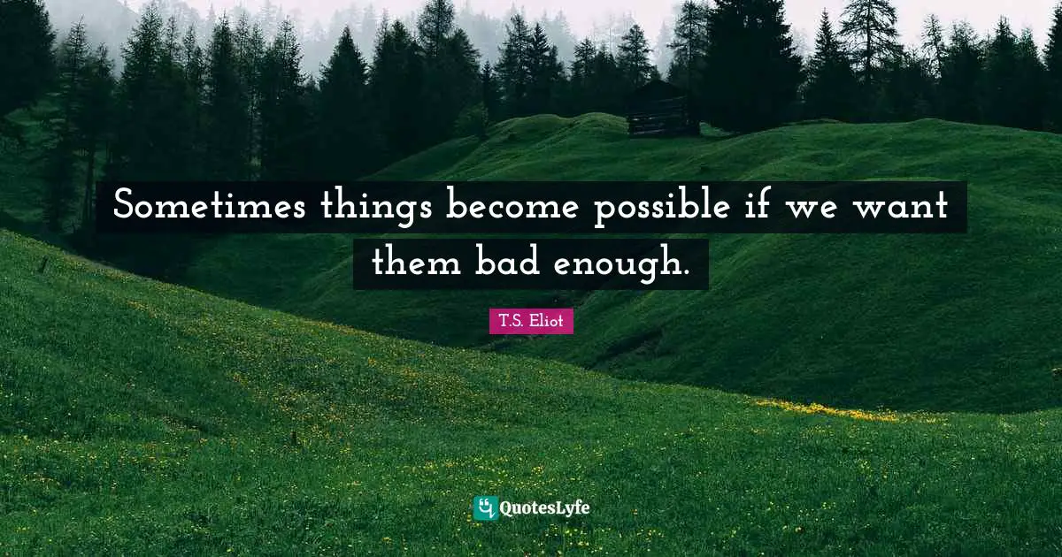 Wishes Quotes: "Sometimes things become possible if we want them bad enough."