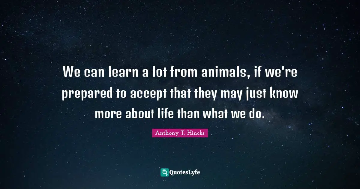 We can learn a lot from animals, if we're prepared to accept that they may just know more about life than what we do.