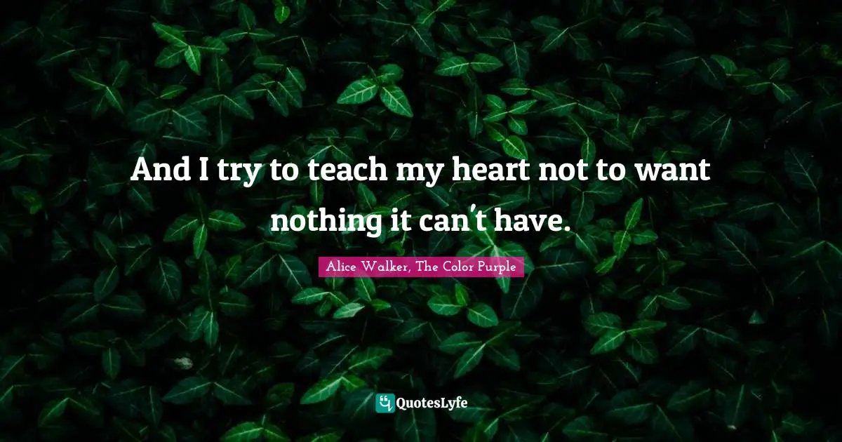 Alice Walker, The Color Purple Quotes: "And I try to teach my heart not to want nothing it can't have."