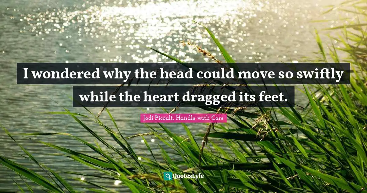 Jodi Picoult, Handle With Care Quotes: "I wondered why the head could move so swiftly while the heart dragged its feet."