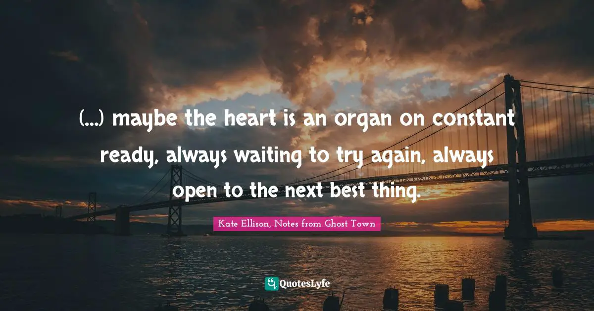 (…) maybe the heart is an organ on constant ready, always waiting to try again, always open to the next best thing.