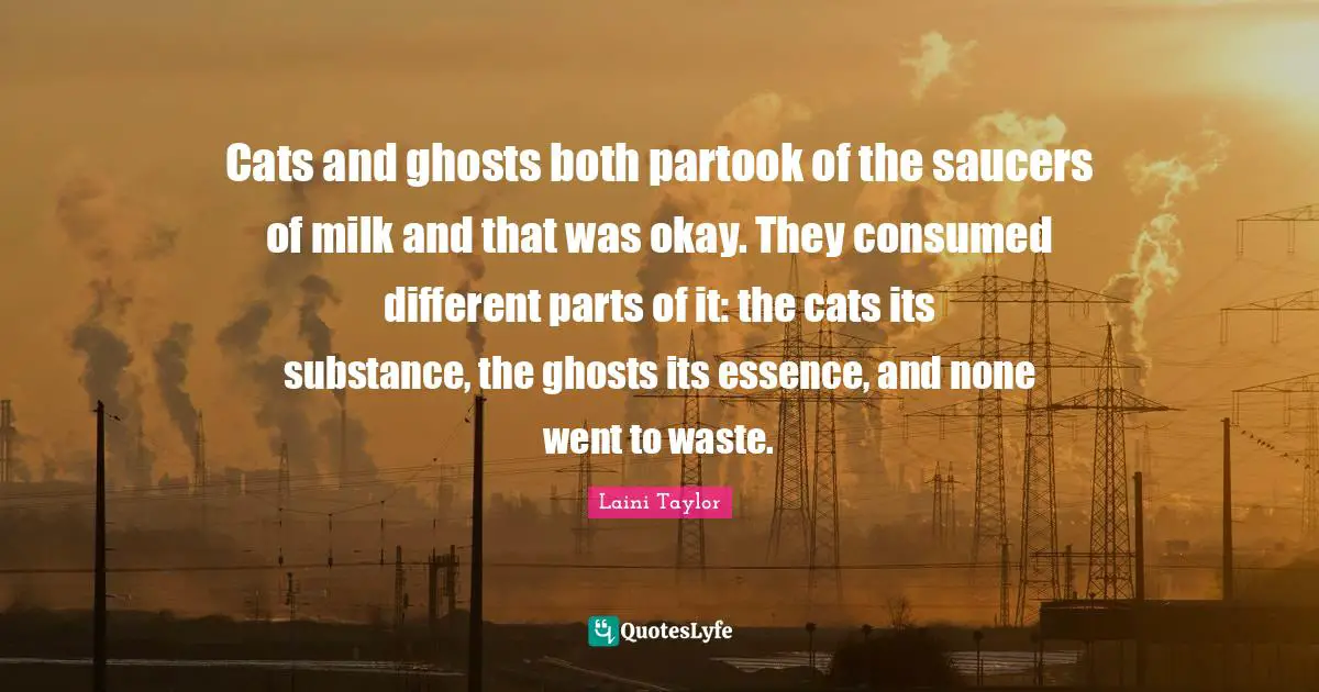 Cats and ghosts both partook of the saucers of milk and that was okay. They consumed different parts of it: the cats its substance, the ghosts its essence, and none went to waste.
