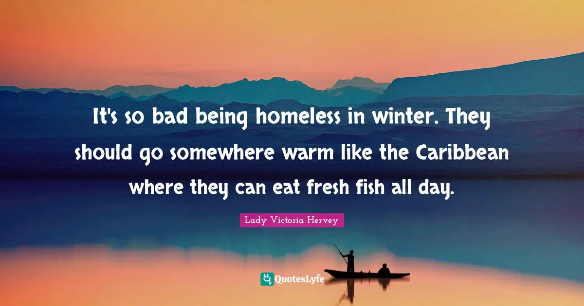 It's so bad being homeless in winter. They should go somewhere warm like the Caribbean where they can eat fresh fish all day.