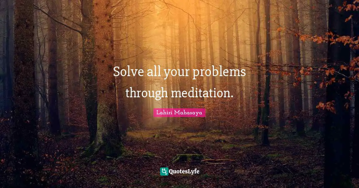 Debris Quotes: "Solve all your problems through meditation."