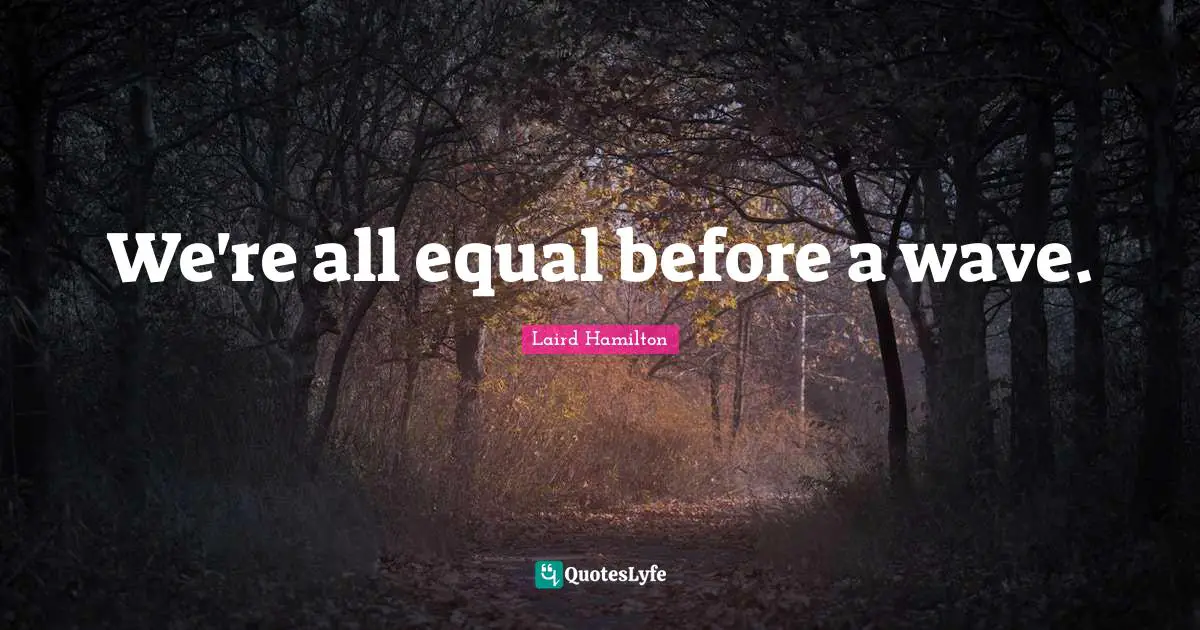 Surfing Quotes: "We're all equal before a wave."