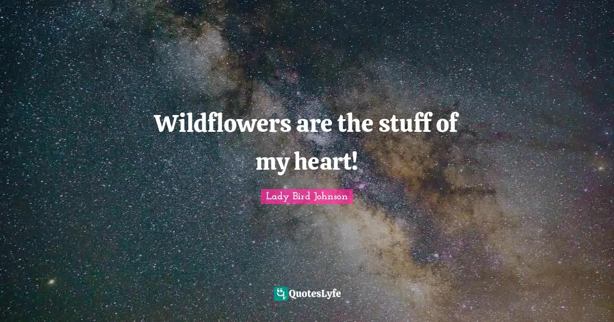 Wildflowers are the stuff of my heart!