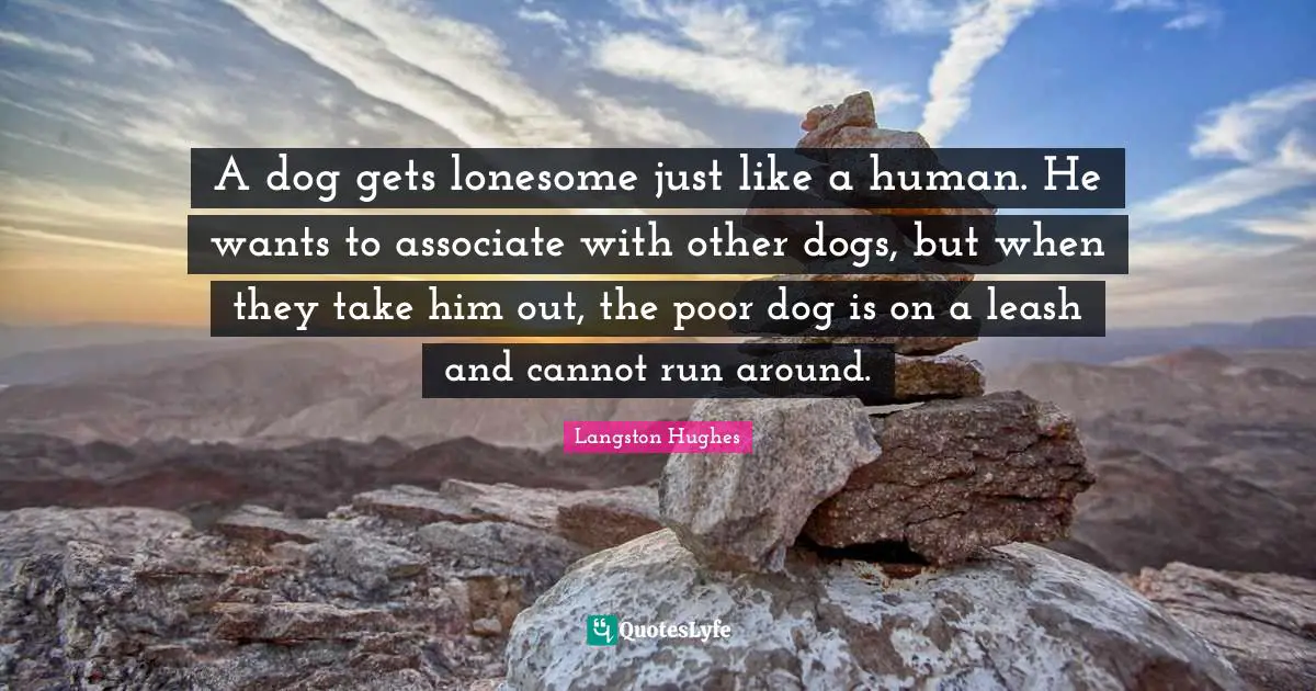 A dog gets lonesome just like a human. He wants to associate with other dogs, but when they take him out, the poor dog is on a leash and cannot run around.