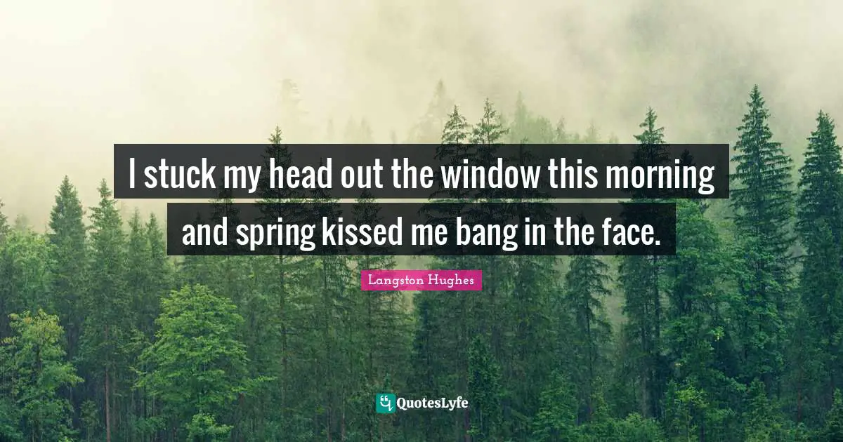 Stuck Quotes: "I stuck my head out the window this morning and spring kissed me bang in the face."